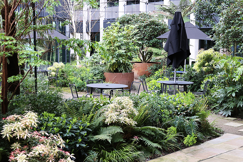 Outdoor dining area